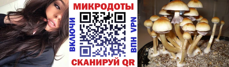 Псилоцибиновые грибы прущие грибы  Кунгур 